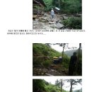 버디퍼피 이미지