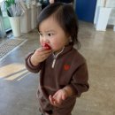 [2026] 22개월 아기랑 정읍 하우스로 체험 후기