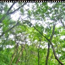 치악산자연휴양림 이미지