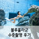 블루홀라군 수중촬영 후기와 신청방법