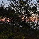 쌍치오룡마을 이미지