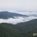어인목장 네이버블로그