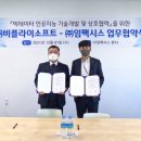 소프트 비