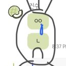 잘 먹고 잘 사는 법
