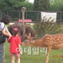 캠핑아웃도어 이미지