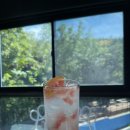 스카이애견 | 마장호수 애견동반카페, 더스카이카페 솔직후기