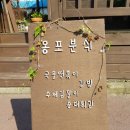 제주 분식 소개 가성비 좋은 국물떡볶이 수제김말이가 맛있는 한림읍 옹포분식