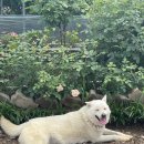 성주 건축사사무소 이미지