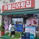선선어가 | 여수맛집 하멜선어횟집, 현지인이 추천하는 선어회 맛집 솔직후기
