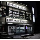 버디독 강아지분양 고양이분양 안심분양센터 인천점 이미지