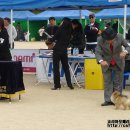 발안바이오고등학교 이미지