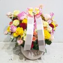 두미포로 이미지