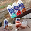 하이뮨 프로틴 밸런스 액티브 딥초코 커피맛 단백질음료 추천