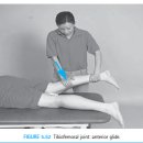 무릎관절(knee joint) 관절가동, 수기저항운동, 자가운동, 기능적 운동법 - 정리중 이미지