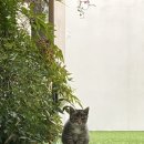 예랑어린이집차량(1대) | 💍w12. 서울 강남 웨딩촬영 ‘라크마스튜디오’ 촬영 후기 (김청경헤어페이스, 브라이덜온유, 모니카뷰티)