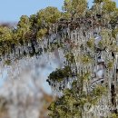 송암리 농장 이미지