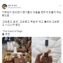 교보문고 냄새나는 방향제 이미지