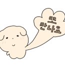 담꽃 이미지
