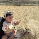 윤선목장 이미지