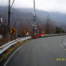 제일농원 이미지