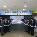 성실기업