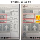 탄탄해짐