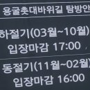 초곡용굴촛대바위카페 이미지