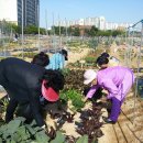 연정농장 이미지