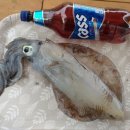 해와달민박 이미지
