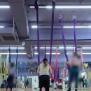 NR-3[평화로]-하-9 | [부산 대연] 아더필라테스&amp;플라잉요가 대연점, 생애 첫 플라잉 요가 후기