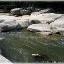 일성지리산콘도미니엄 이미지