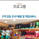 마이스키렌탈샵 이미지
