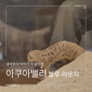 10개월 아기와 주말 동성로 나들이, 아쿠아밸리 블루 라운지 체험 후기