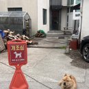 우라1리 | 3월-4주차 (#소도리왕뼈다귀 #TQQQ배당금 #빨간집본점 #해은모모임 #디트 #피스오브치즈 #제주대학교...