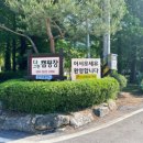 평창강 | 강원도 영월 다그린캠핑장 후기 🌲 평창강과 함께하는 가족 캠핑 추천