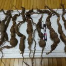 봉곡동410 이미지