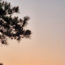 삼불정사