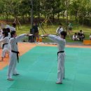 무궁화태권도체육관 이미지