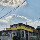 신제주 | 애월 도민 맛집 제주 오리고기, '신제주촌오리' 후기