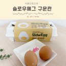 안나슬로우레시피