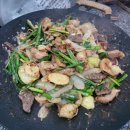 단양천동계곡캠핑장;그린농원 이미지