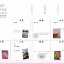 홀리의 5월 넷째 주 후기