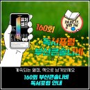 (주)부산나비 이미지