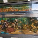 반야호횟집 이미지