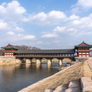 삼릉원 | 여유롭게 즐길수있는 경주 가볼만한곳