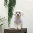 오파프부산 이미지