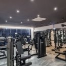 이음 핏 이미지