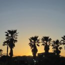 안녕감귤 제주독채펜션 이미지