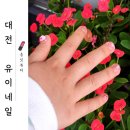대전키즈네일 <유이네일>에서 딸래미와 데이트!