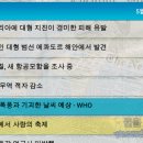 주식회사 메가뉴스